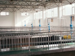 南寧吳圩機(jī)場(chǎng)改擴(kuò)建工程飛行區(qū)場(chǎng)道工程（四標(biāo)段）項(xiàng)目順利竣工